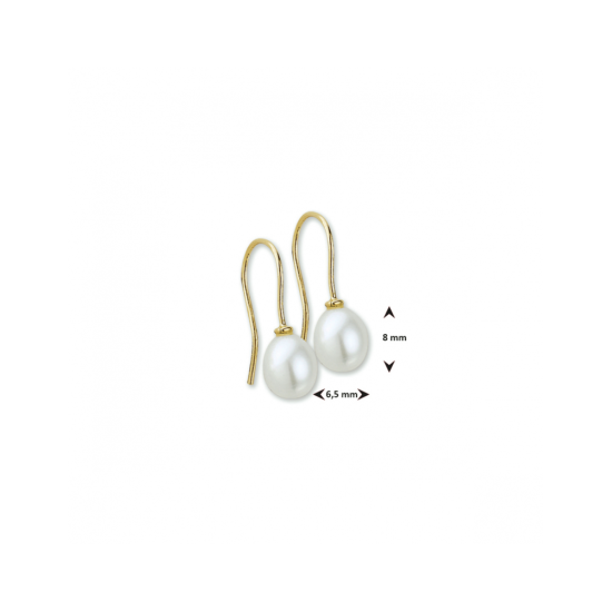 PARELOORHANGERS DRUPPEL 8x6,5mm 14k GG HOLL.HAAK - 9887