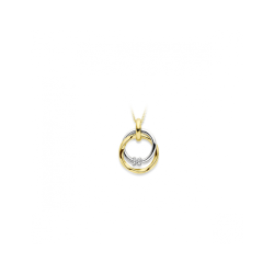 14k BICOL.HANGER 2 CIRCELS 1 DIAM.03ct H-SI - 10067494