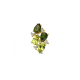 14k GG HANGER PERIDOT TOERM BRILJ.06ct H-SI - 10067493