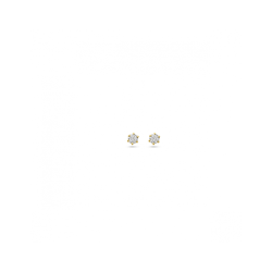 14k GG SOLITAIR OORSTEKERS 6POOTS KLAUW DIAMANT 0,15ct H-SI - 10069282