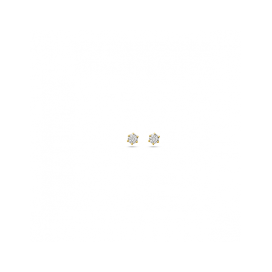 14k GG SOLITAIR OORSTEKERS 6POOTS KLAUW DIAMANT 0,15ct H-SI - 10069282